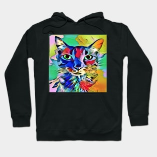 PamaJack Funky Cat Hoodie